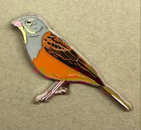 Image 2 of Ortolan Bunting - April 2021 - Enamel Pin Badge