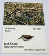 Jack Snipe - April 2021 - Enamel Pin Badge