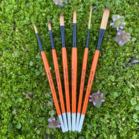 Image 1 of Fox Tails - 6pc Paintbrush Set