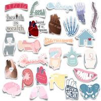 Full Body Pack: Color