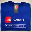CARDIFF COORDINATES CHILDREN'S T-SHIRT