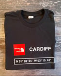 CARDIFF COORDINATES CHILDREN'S T-SHIRT