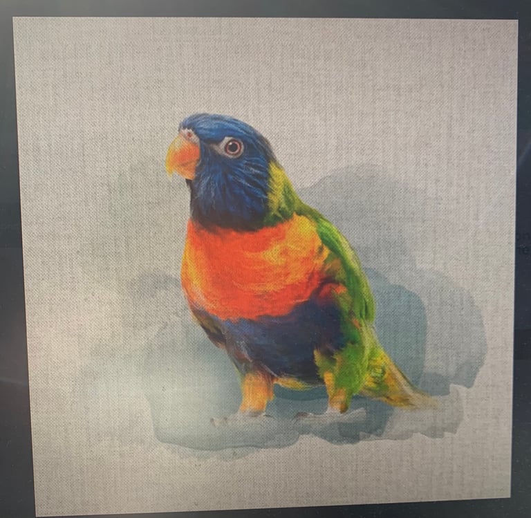 Cushion Covers Canvas Image 2