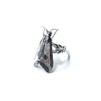 Image 2 of Clymene Moth ring in sterling silver
