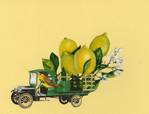 Image of When life gives you lemons. Limited edition collage print.