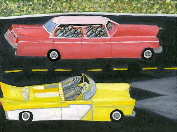 Image of Holy mackerel, they are crammed in there like sardines. Limited edition print.