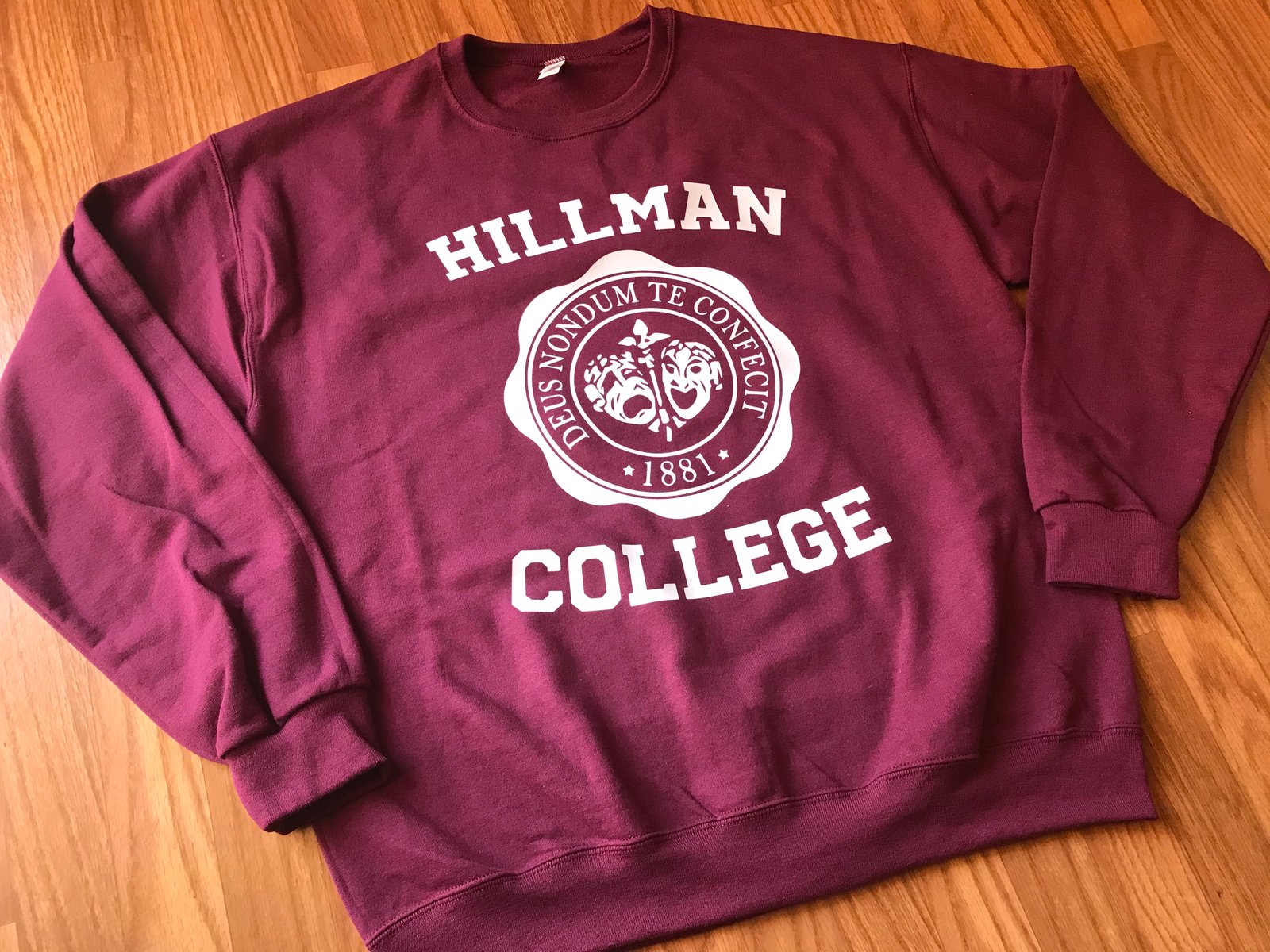 Hillman college sweatshirt a different outlet world