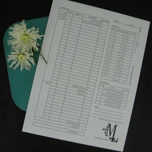 Image of "The Mindful Keeper" financial envelopes