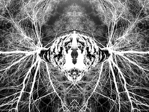 Spiritual Source - Limited Edition Print 1/10