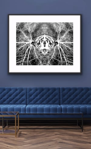 Spiritual Source - Limited Edition Print 1/10