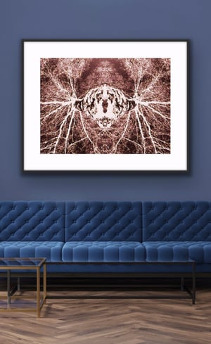 Spiritual Source Rose - Limited Edition Print 1/5