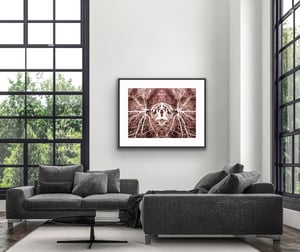 Spiritual Source Rose - Limited Edition Print 1/5