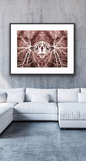 Spiritual Source Rose - Limited Edition Print 1/5
