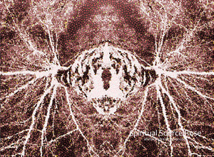 Spiritual Source Rose - Limited Edition Print 1/5