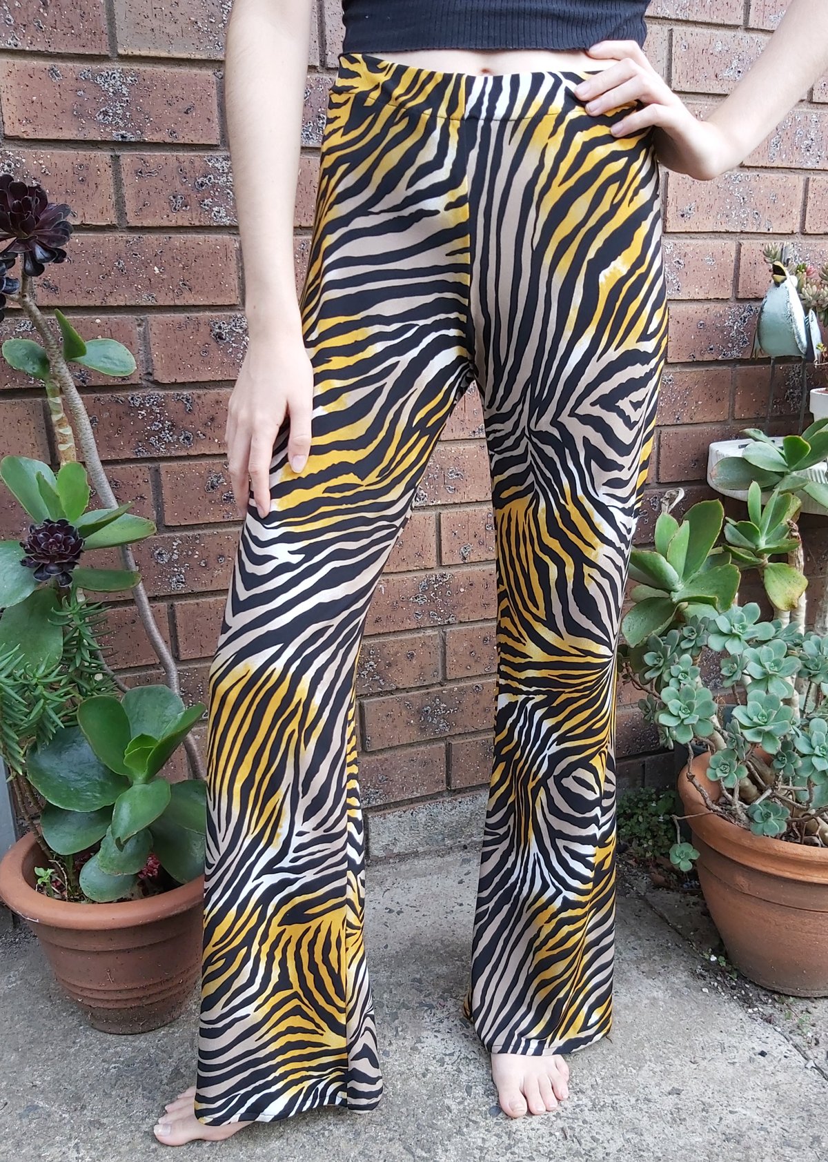 Image of KAT pants Zebra print lycra