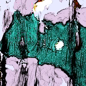 Lenny Envy - Limited Edition Print 1/5