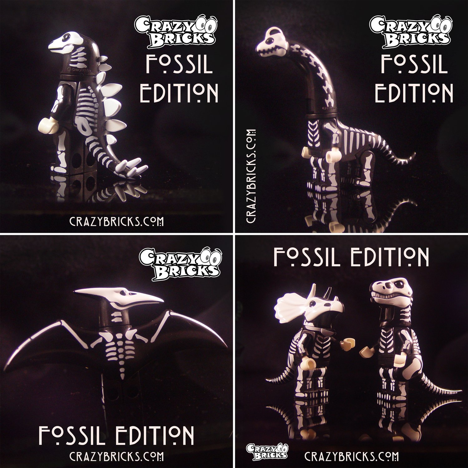 FOSSIL EDITION Dino Dudes! Limited Stock!