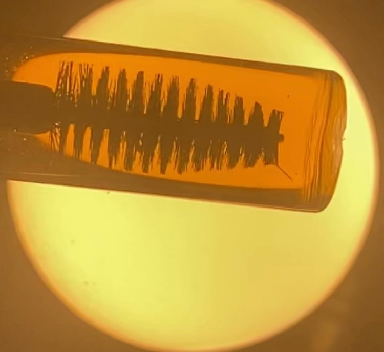 Image of Lash Restoration