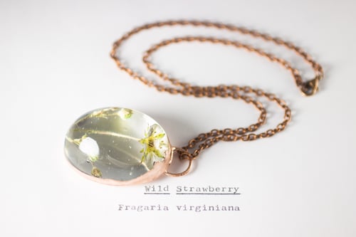 Image of Wild Strawberry (Fragaria virginiana) - Copper Plated Necklace #1