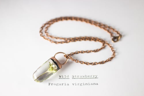 Image of Wild Strawberry (Fragaria virginiana) - Small Electroform Copper #2