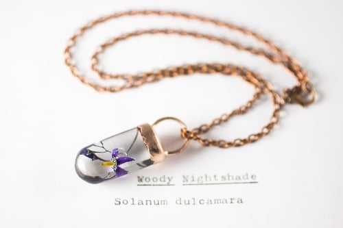 Image of Woody Nightshade (Solanum dulcamara) - Small Electroform Copper #2