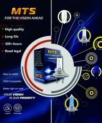 Warm White H7 499 PX26D BULB