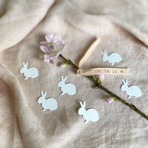 Image of RUBAN MESSAGER de printemps