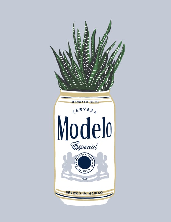 Image of Modelo 