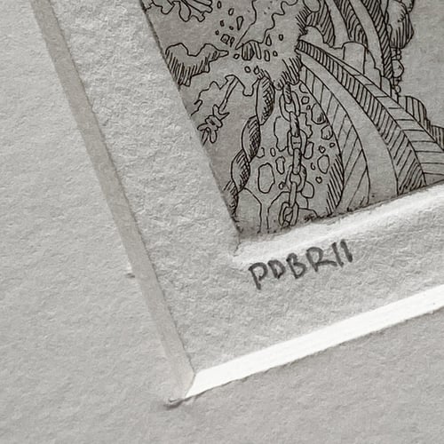 Image of UNTITLED #6 / Paul Du Bois-Reymond