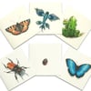 Colorful creatures cards