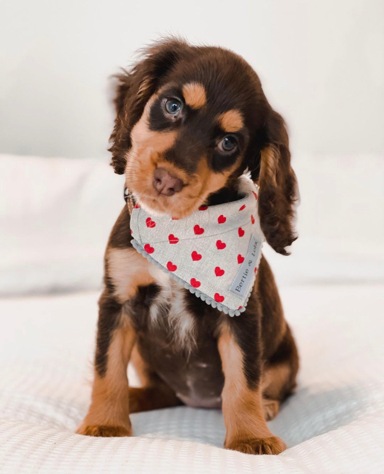 Image of THE VALENTINA NECKERCHIEF