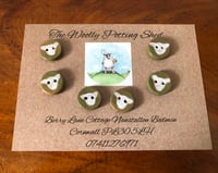 White sheep buttons