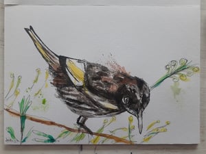 Image of Honey Eater