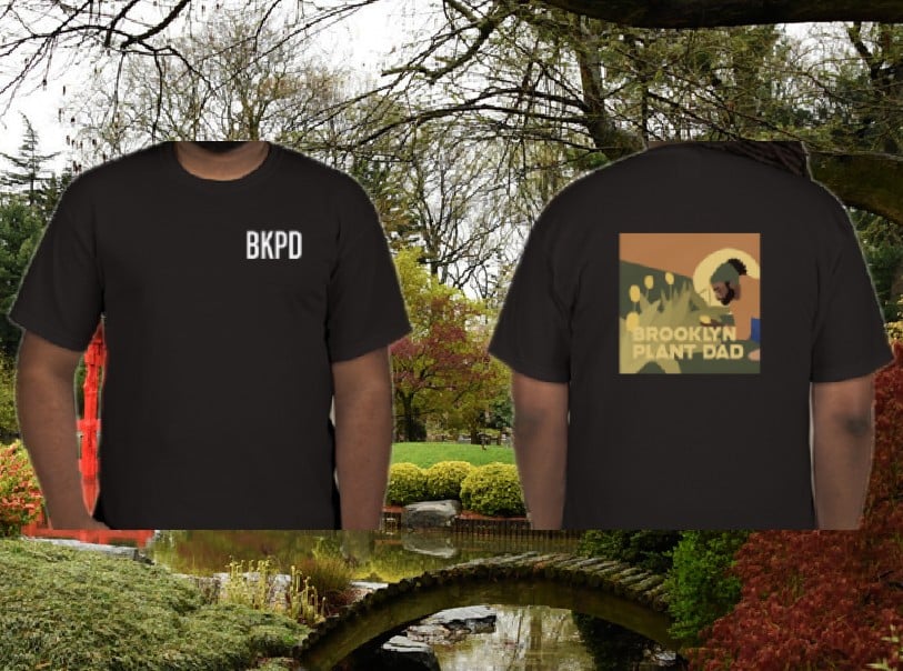 Short Sleeve in Black