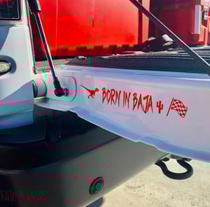 Image of Born In Baja 