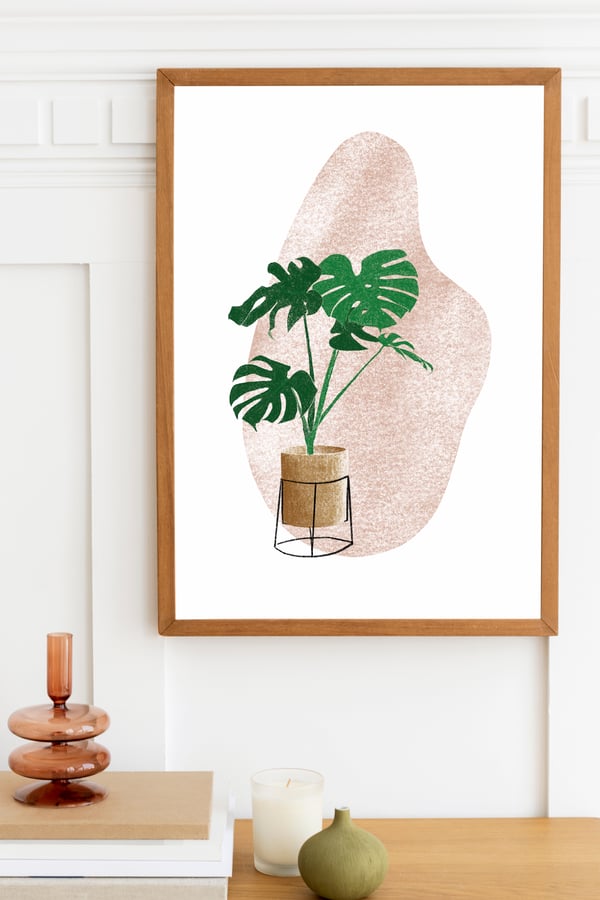 Image of Monstera House plant Art Print