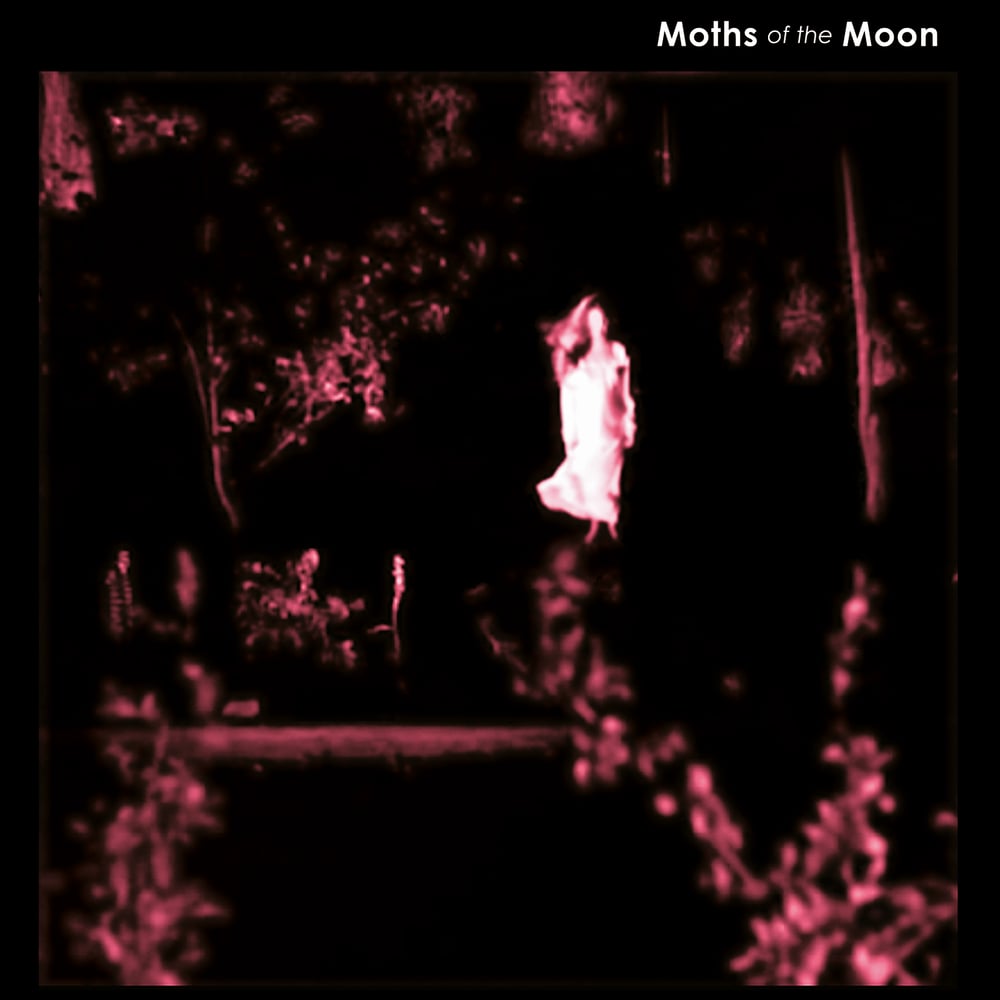 Image of Moths Of The Moon 'Another Place' Mini LP