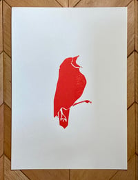 Illustrated Bird print