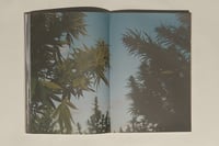 Image 4 of PURIENNE / PIERROT - WANDERING AND LEARNING