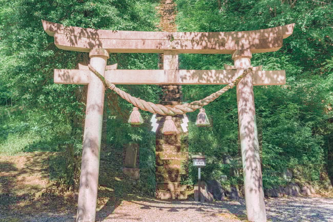 Akine Coco Like A Scene From An Anime