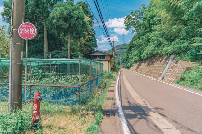 Akine Coco Like A Scene From An Anime