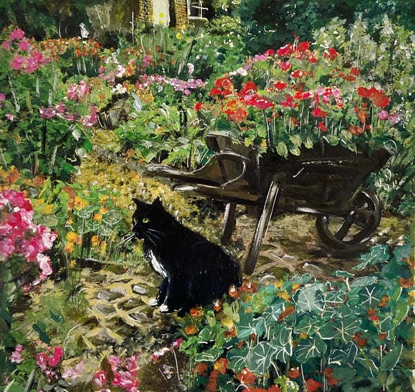 Image of Garden cat 