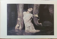 Image 3 of Gregory Colbert - Ashes and Snow: New York Exhibition Catalog