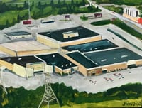 Image 1 of  Bird's Eye  - Original Painting