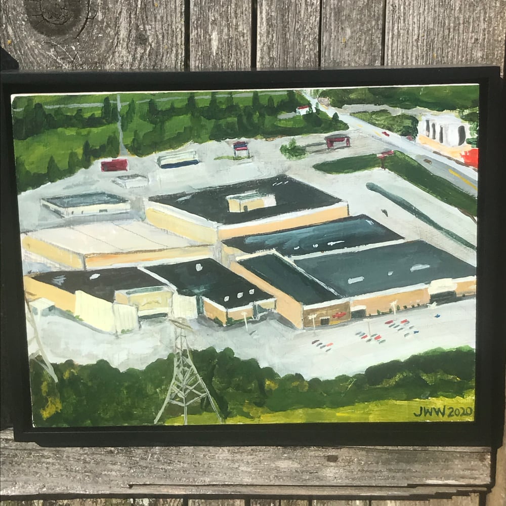 Bird's Eye - Original Painting