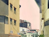 Image 3 of Skirting Shadows