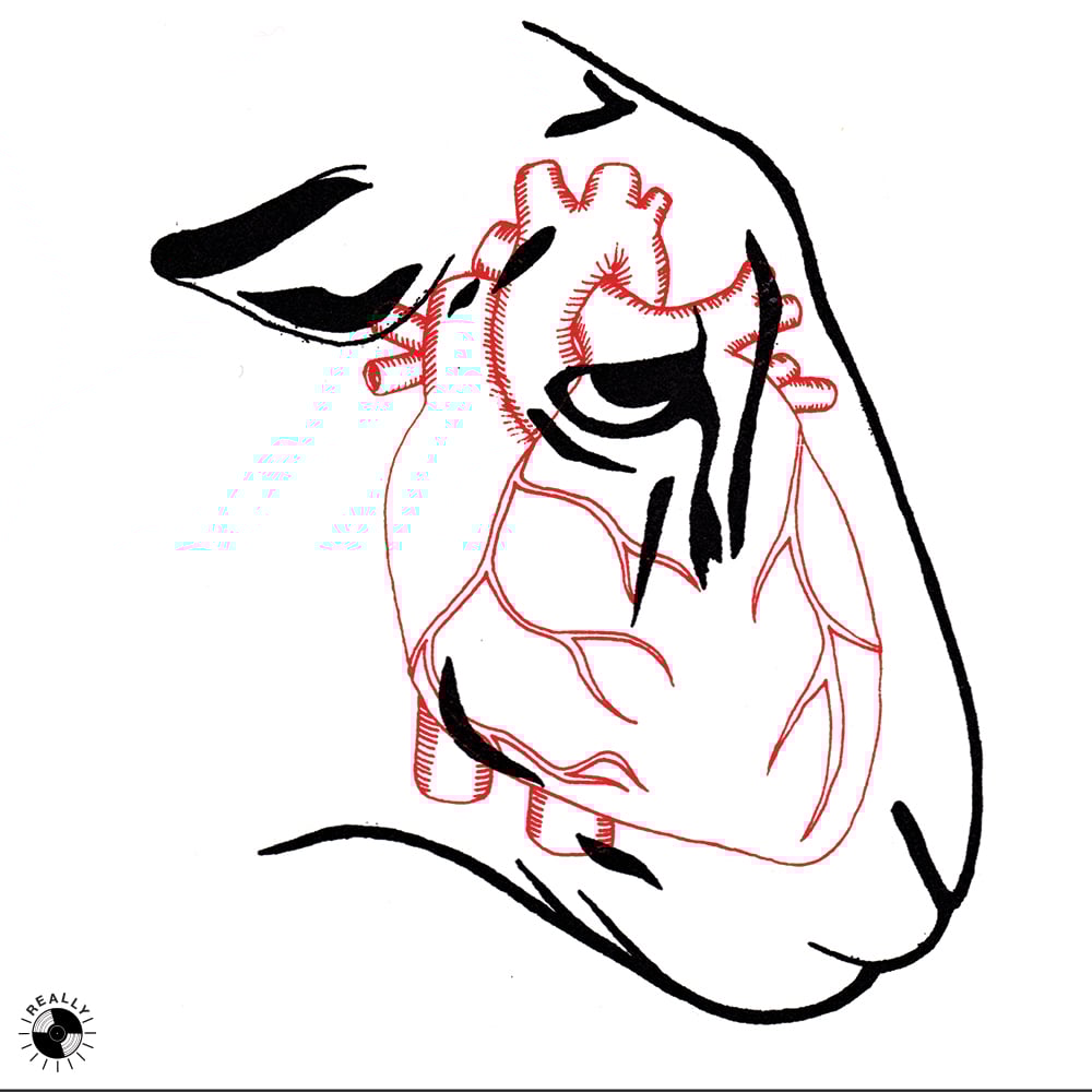 ROAR I Can t Handle Change I m Not Here To Make Friends LP Really roar-i-can-t-handle-change-i-m-not-here-to-make-friends-lp-really