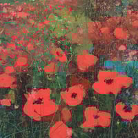 Poppies