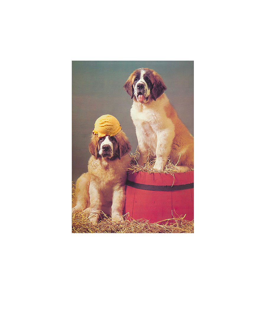 Image of 'Craving Snacks and Dogs' - postcard set (6)