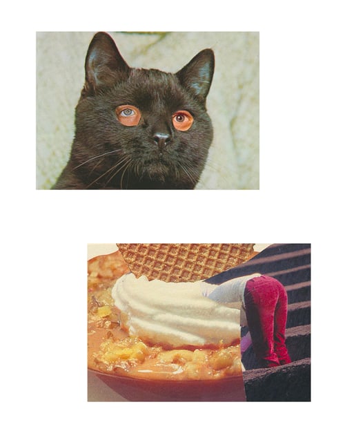 Image of 'Craving Snacks and Dogs' - postcard set (6)